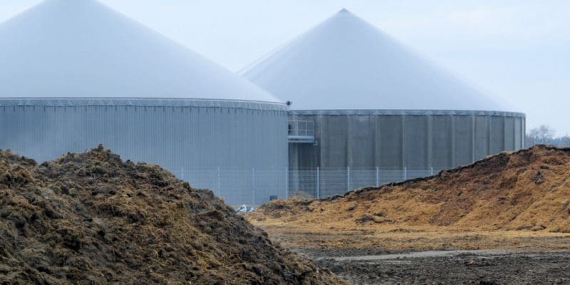 MOROCCO: IRESEN's biogas and biomass platform planned for 2020©Liane M/Shutterstock