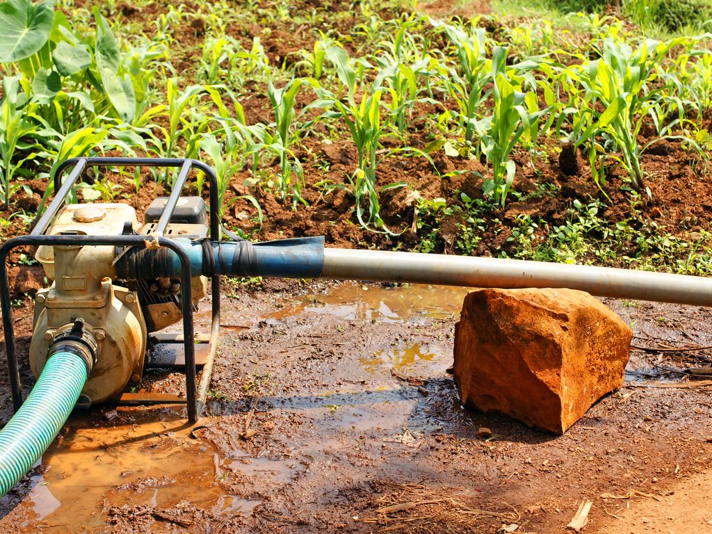 SAHEL: World Bank to finance $25 million irrigation project © Xavier Boulenger/Shutterstock