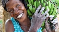 GHANA : Agrocenta retisse le lien entre consommateurs et petits producteurs agricoles©Dietmar Temps /Shutterstock