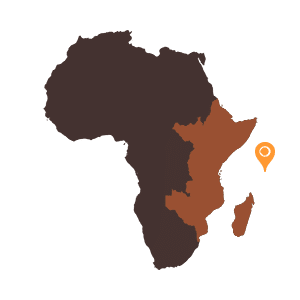 carte-Afrique-de-l-Est-Seychelles