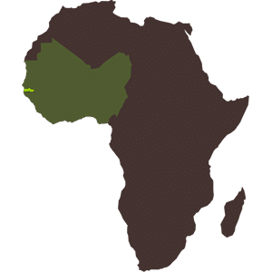 carte-Afrique-de-l-Ouest-Gambie