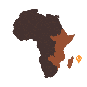 carte-Afrique-de-l-est-ile-Maurice