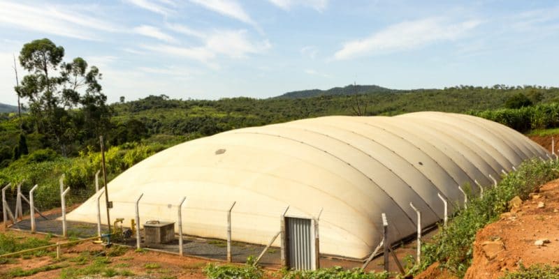 KENYA : AstraZeneca et CISL vont fournir du biogaz aux populations locales © Marco Paulo Bahia Diniz /Shutterstock