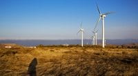 TCHAD : Amdjarras va devenir la première (et dernière ?) cité éolienne du pays© lkpro/Shutterstock
