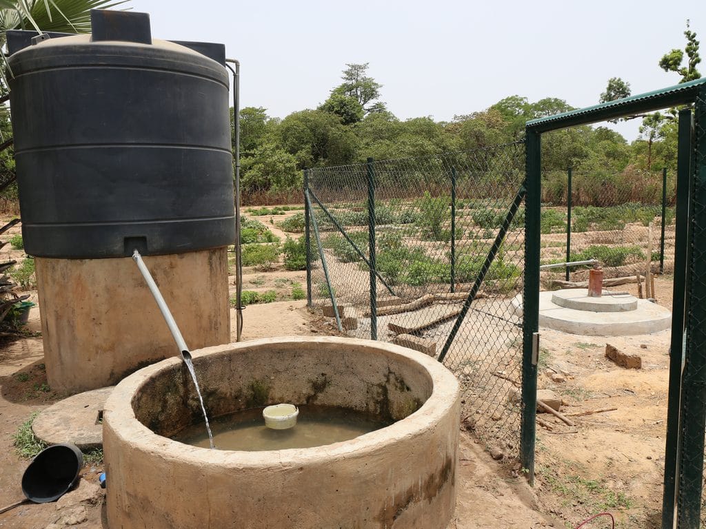 SÉNÉGAL : 130 M$ de la Banque mondiale pour l’eau et l’assainissement en milieu rural © BOULENGER Xavier/Shutterstock