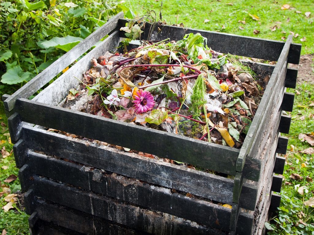 SOUTH AFRICA: Organic Matters turns restaurant waste into compost ©Evan Lorne/Shutterstock