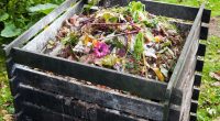 AFRIQUE DU SUD : Organic Matters transforme les déchets de restaurants en compost ©Evan Lorne/Shutterstock