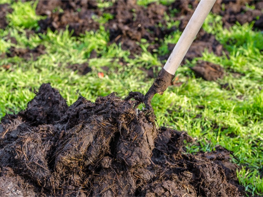BENIN: PlanFutur produces soil fertilisers with human excrement ©Alicja Neumiler /shutterstock