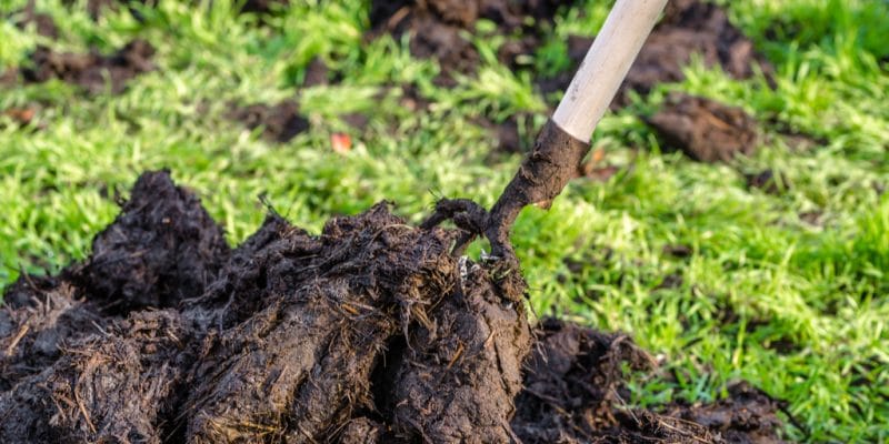 BENIN: PlanFutur produces soil fertilisers with human excrement ©Alicja Neumiler /shutterstock
