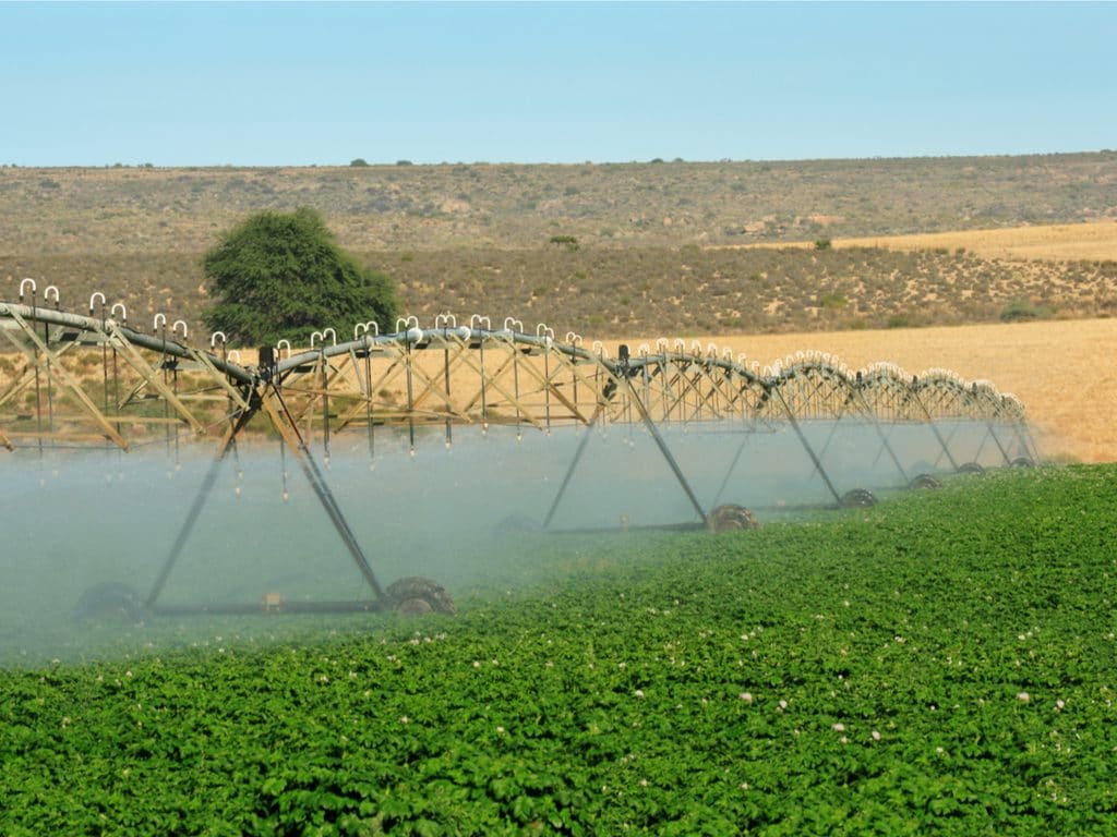 MAURITANIA: Support project for Sahel irrigation initiative on the way © Adele D/shutterstock