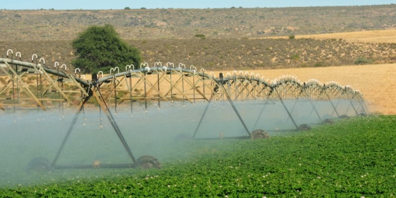 MAURITANIE : lancement du projet d’appui à l’initiative d’irrigation au Sahel © Adele D/shutterstock