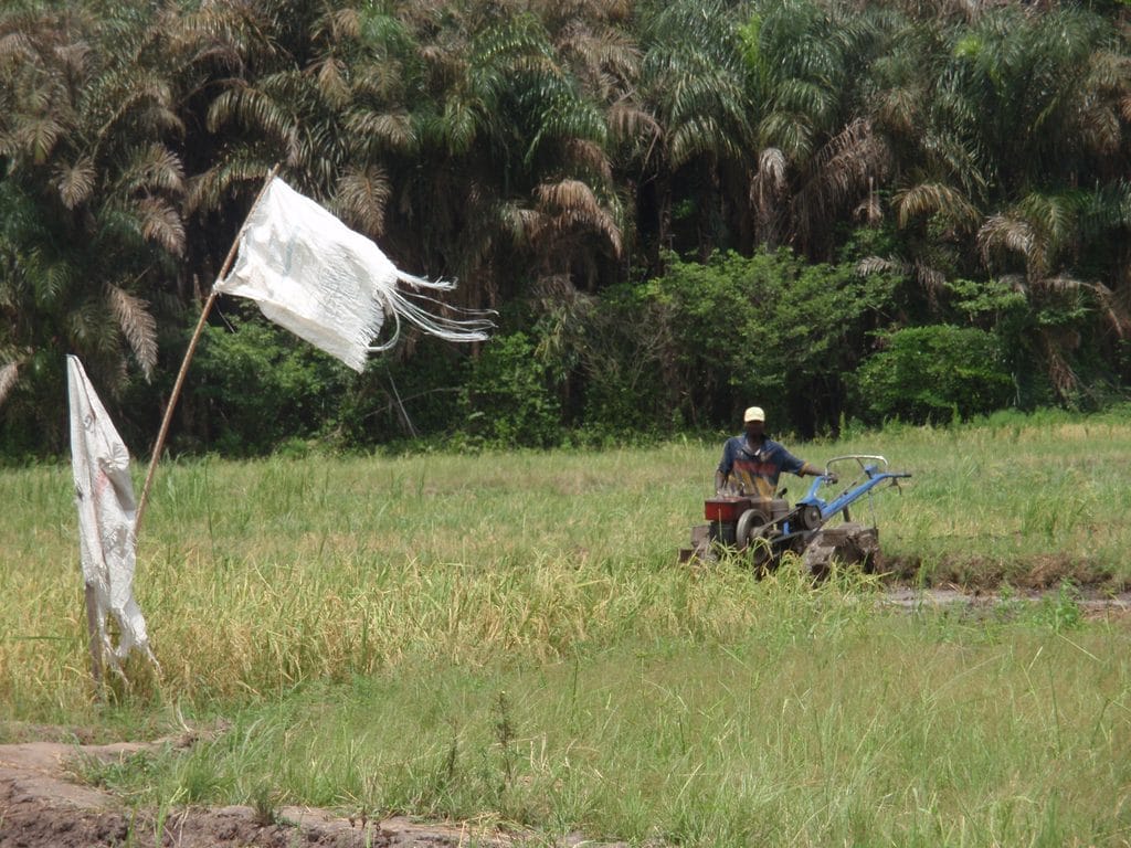KENYA: Farmers to benefit from Davis & Shirtliff irrigation system © BOULENGER Xavier /Shutterstock