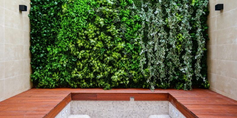 NIGERIA: "Green walls" to overcome the heat in cities? ©August/Shutterstock