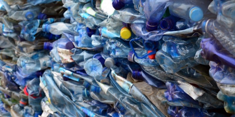 KENYA: Francis Muriithi earns money by recycling plastic waste © Bogdan Ionescu /Shutterstock