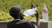 AFRIQUE : SFI, 100 RC et GIF soutiennent une plateforme de gestion de l’eau ©Peter Titmuss/Shutterstock