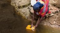 AFRIQUE AUSTRALE : l’Usaid va financer 32 M$ pour l’eau potable et l’assainissement ©Martchan/Shutterstock