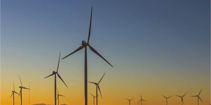 AFRIQUE : Gaia Energy s’allie à IFC pour développer l’éolien sur le continent