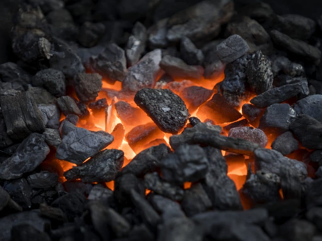 TUNISIA: Chanouf produces bio coal from waste ©J. Helgason/Shutterstock