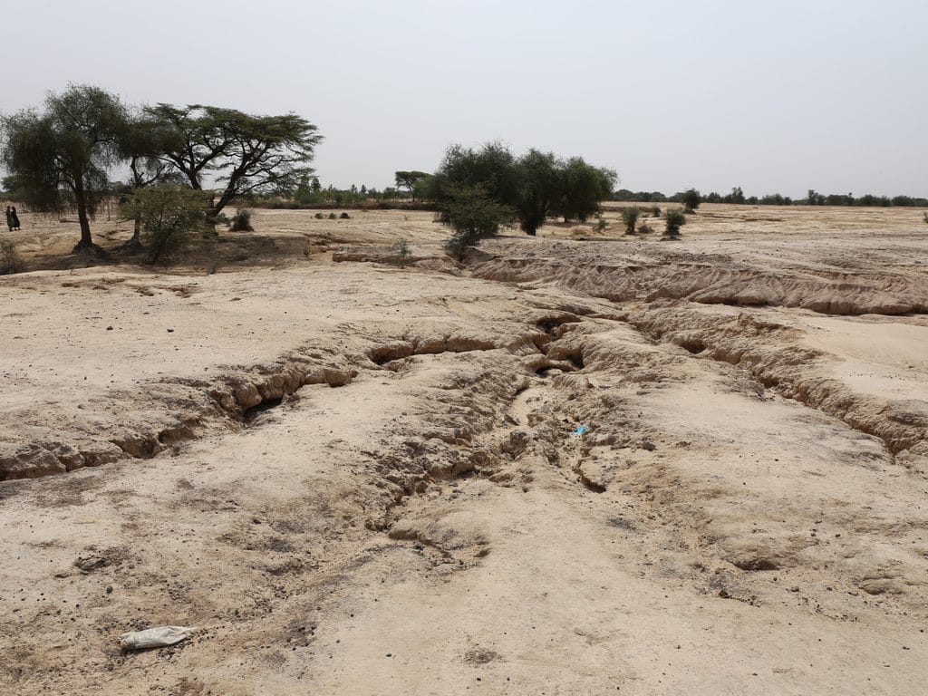 SENEGAL: Eight African countries to meet in Dakar to tackle desertification© BOULENGER Xavier/Shutterstock
