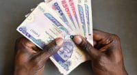 TANZANIA: Zola Electric Gets $35 Million to Finance Projects© Red Confidential/Shutterstock