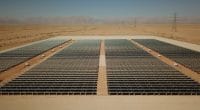 TCHAD : InfraCo Africa va vendre 60 MW de solaire à l’État des 2020© Sebastian Noethlichs/Shutterstock