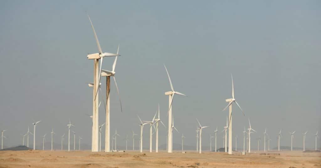 EGYPT: ACWA Power wins concessions for 500 MW of wind power ©Nebojsa Markovic /Shutterstock