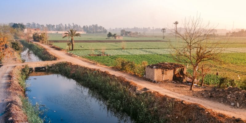 ÉGYPTE : Le Caire signe un accord avec l’UE pour une meilleure gestion de l’eau ©Kazzazm/Shutterstock
