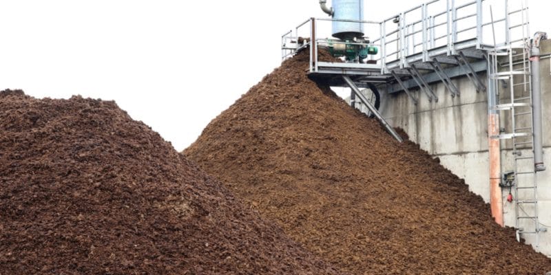 BÉNIN : à Houegbo, ReBin remplace le charbon de bois par du biogaz©Holger Kirk/Shutterstock