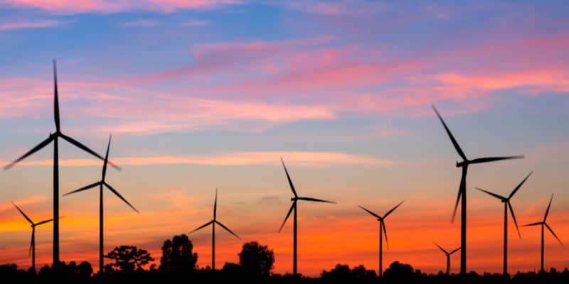 SENEGAL: Danish company Vestas will equip 159 MW Taiba N'Diaye wind farm©Casper1774 Studio/Shutterstock