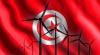 TUNISIE : nouveau délai pour les appels d’offre 70 MW de solaire et 130 MW d’éolien©Pilotsevas/Shutterstock