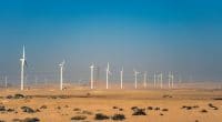 AFRIQUE : EDF et Gibb créent une joint-venture spécialisée sur l’énergie renouvelable© Octofocus2 /Shutterstock
