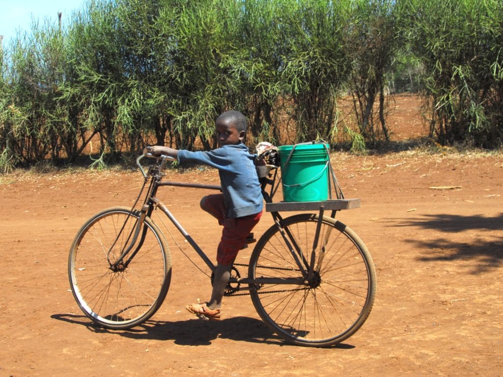 MALI : premiers tests prévus en décembre 2018 pour le projet d’eau potable de Kabala ©Africa924/Shutterstock