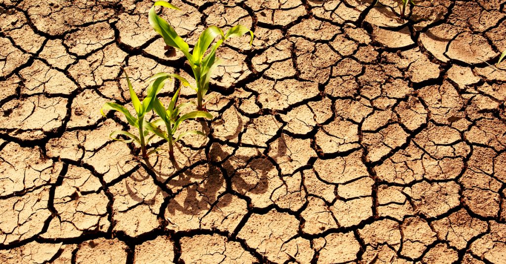 SOUTHERN AFRICA: Germany invests €10 million in climate research© Meryll/Shutterstock
