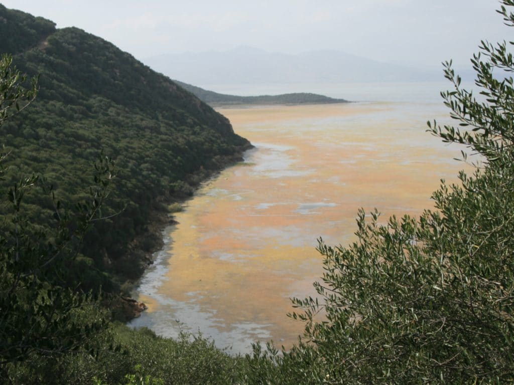 TUNISIE : le projet de dépollution du lac Bizerte sera achevé d’ici 5 ans© BOULENGER Xavier/Shutterstock