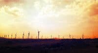 ÉGYPTE : ce projet éolien de 250 MW, pour lequel Lekela sollicite 81,4 M$ de la Berd©Ayman El-Nady/Shutterstock