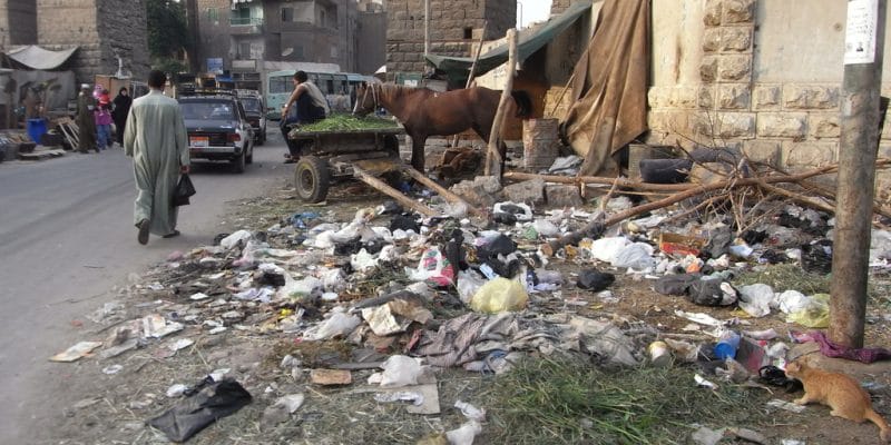 EGYPT: Government develops comprehensive municipal waste management system©StreetVJ/Shutterstock