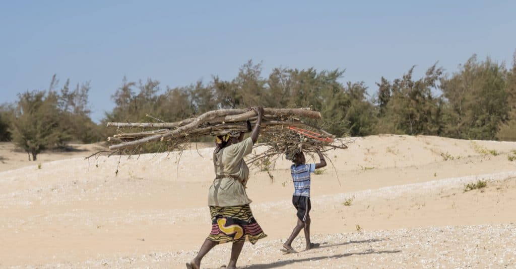 NIGERIA: "Green Recovery Nigeria", must avoid 500 m2 of desertification per year©DiversityStudio/Shutterstock