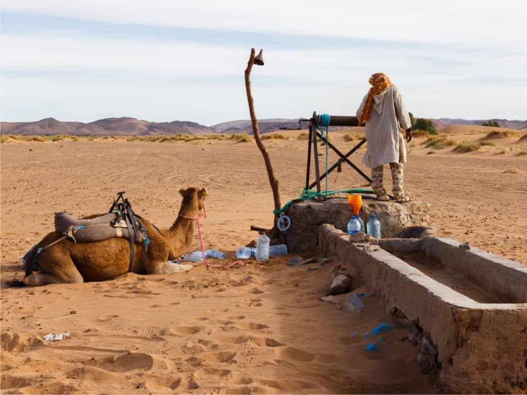 MAURITANIA: Authorities launch drinking water supply project in Timbedra©Mieszko9/Shutterstock