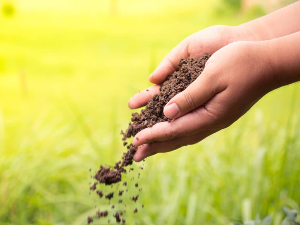 MOROCCO: Young scientist offers biogas and fertilisers to farmers© Singkham/Shutterstock