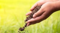 MAROC : une jeune scientifique propose du biogaz et des fertilisants aux agriculteurs © Singkham/Shutterstock