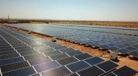 KENYA : Voltalia va construire un parc solaire de 40 MW à Eldoret pour Alten Africa© Sebastian Noethlichs/Shutterstock