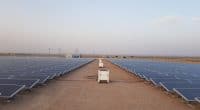 EGYPTE : Schneider Electric et JinkoSolar fournissent une off-grid à Abu Ghuraqd©Sebastian Noethlichs/Shutterstock