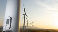 KENYA : GE Renewable Energy et GE EFS vont construire le parc éolien de Kipeto©pedrosala/Shutterstock