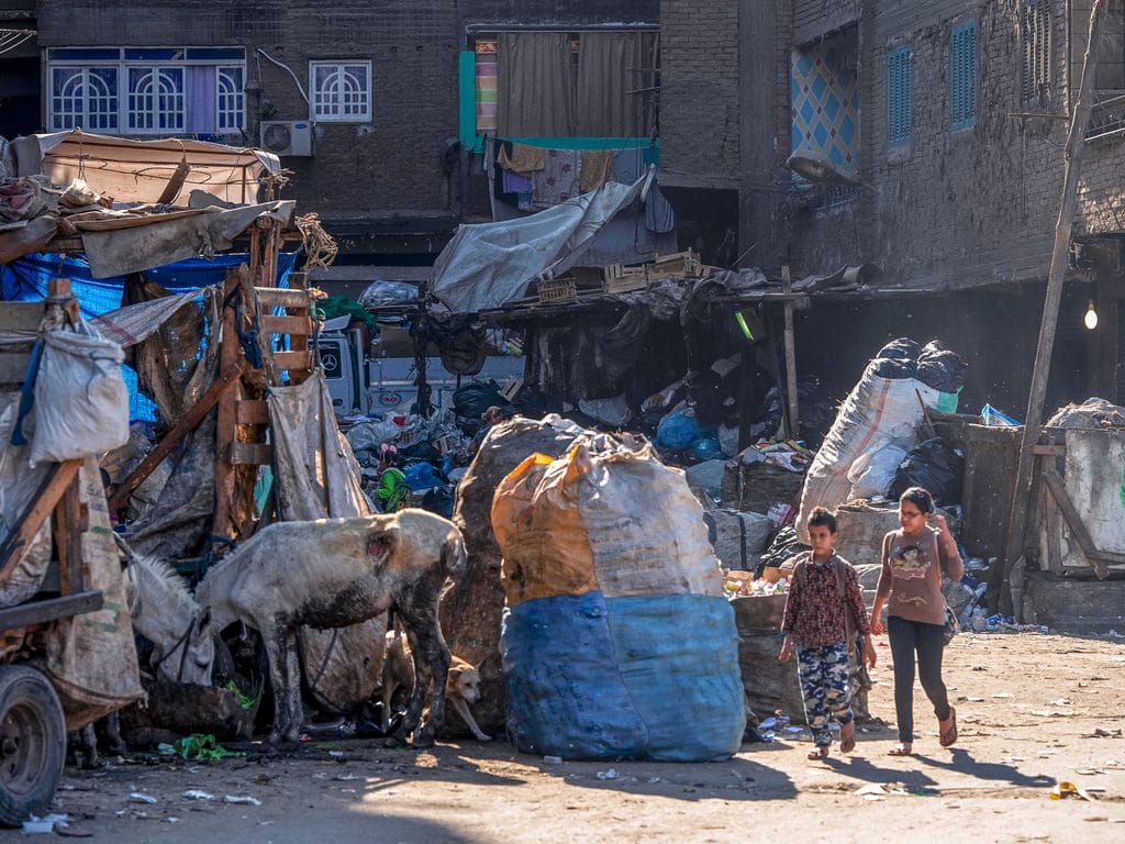 ÉGYPTE : les autorités à l’école de la gestion des déchets en Allemagne©leshiy985/Shutterstock