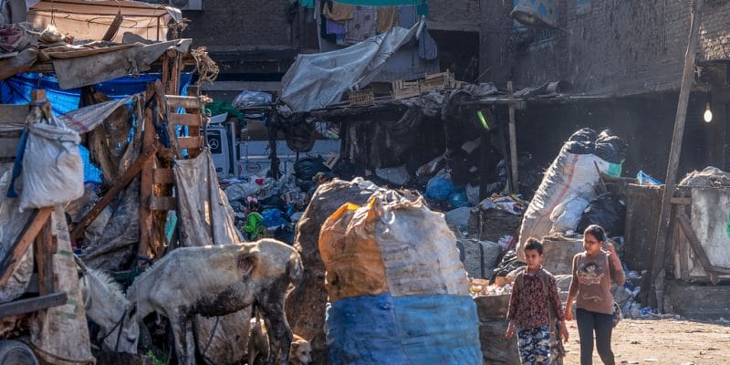 ÉGYPTE : les autorités à l’école de la gestion des déchets en Allemagne©leshiy985/Shutterstock