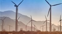 EGYPT: Four IPPs in need of land to build 400 MW wind farms©Patrick Jennings/Shutterstock