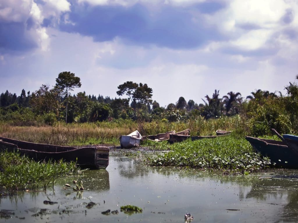 EASTERN AFRICA: GEF funds Lake Victoria sanitation project ©DeanP/Shutterstock