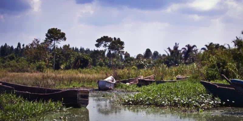 AFRIQUE DE L’EST : le FEM finance un projet d’assainissement du lac Victoria ©DeanP/Shutterstock
