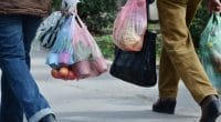 SOUTH AFRICA: Woolworths plans to eliminate plastic bags in all its stores©Emilija Miljkovic/Shutterstock