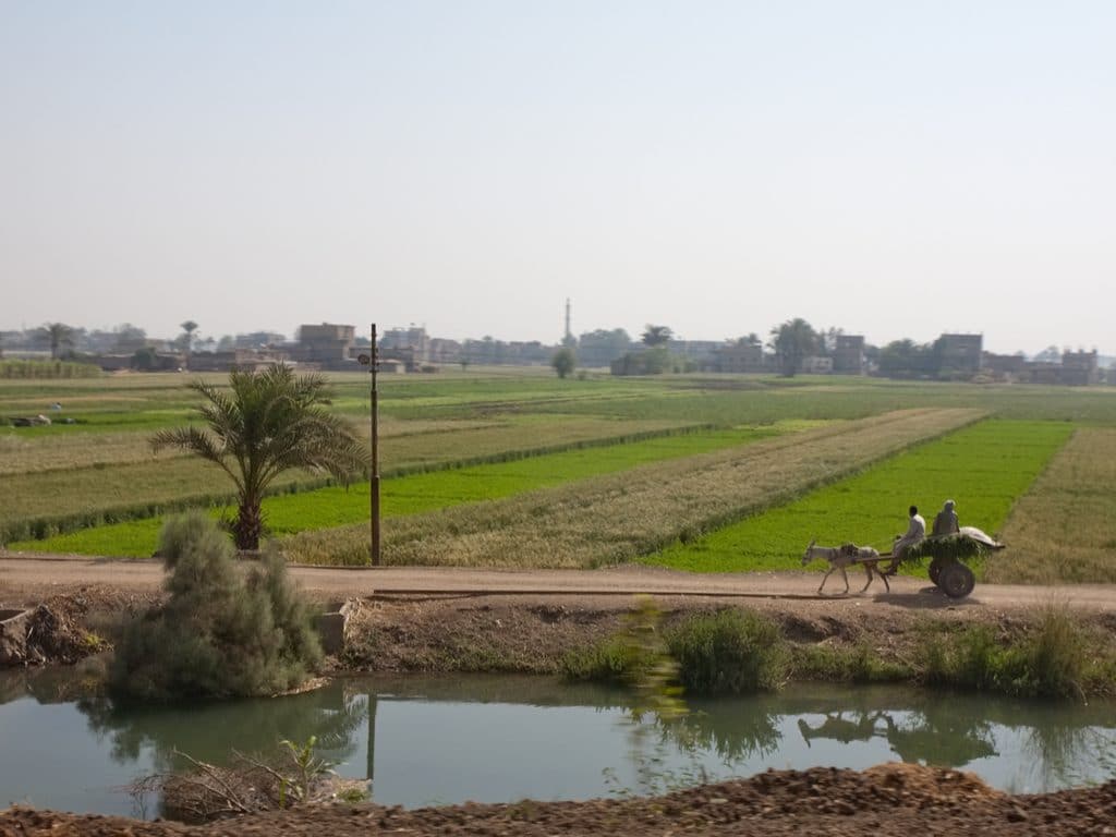 EGYPT: Schneider Electric Supplies Solar-Powered Water Pumping Systems ©Jen Watson/Shutterstock
